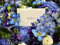 бренды, zenith, конверт, цветы, букет