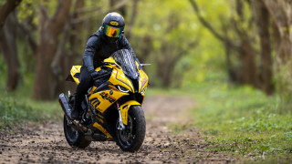 мотоциклы, bmw, желтый, спортбайк, s1000rr, лес, бмв