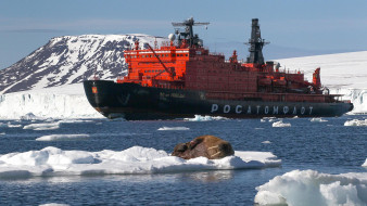 корабли, ледоколы, арктика, ледокол, морж, льдина, северный, полюс