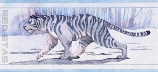 рисованное, животные,  тигры, тигр, белый, снег