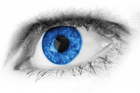 , , , , macro, , , eyelashes, blue, eye