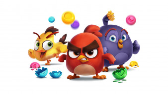 Angry Birds Dream Blast     2560x1440 angry birds dream blast,  , ---, , , , , , , angry, birds, , , , rovio, dream, blast