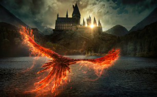 Fantastic Beasts: The Secrets of Dumbledore || 2022     4000x2490 fantastic beasts,  the secrets of dumbledore || 2022,  , -unknown , , , , , , , , , , 