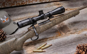     1920x1200 , , , , hunting, rifle