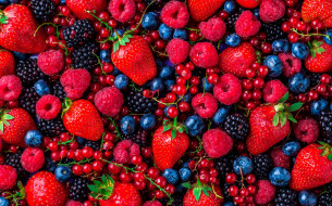 еда, фрукты,  ягоды, ежевика, малина, красная, смородина, клубника, черника