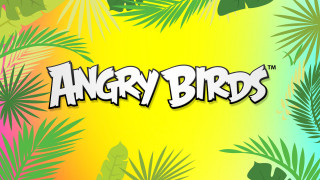      3840x2160  , angry birds, , , , , wallpaper, , , , , , angry, birds, rovio, , 