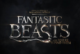      2048x1383  , fantastic beasts and where to find them, , 