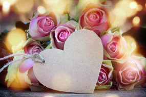 праздничные, день святого валентина, сердечки, любовь, розы, букет, сердечко