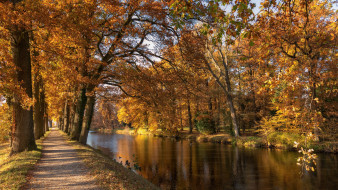природа, парк, река, аллея, деревья, осень