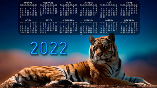 календари, животные, год, тигра