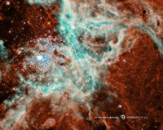 30 Doradus Nebula     1280x1024 30, doradus, nebula, , , 