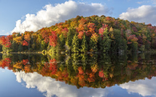 природа, реки, озера, река, отражение, деревья, осень