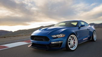 shelby 1000, , mustang, , , 