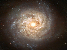 NGC 3982        1152x864 ngc, 3982, , , , , , 
