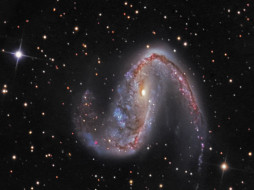 NGC 2442     1200x900 ngc, 2442, , , 