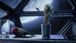 Groot`s First Steps || 2022     3840x2160 groot`s first steps || 2022, , -unknown , , , , , , groots, first, steps