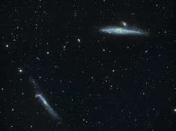 NGC4631  NGC4656     1600x1200 ngc4631, ngc4656, , , 