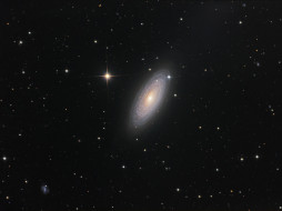 NGC 2841     1600x1200 ngc, 2841, , , 