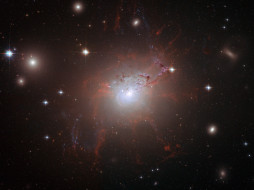 NGC 1275     1600x1200 ngc, 1275, , , 