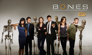      1920x1160  , bones, , , 