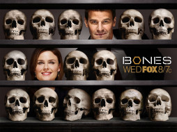 , bones, , , 