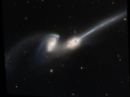 NGC 4676     1600x1200 ngc, 4676, , , 