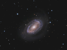 NGC 4725     1600x1200 ngc, 4725, , , 