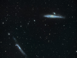 NGC4631  NGC4656     1600x1200 ngc4631, ngc4656, , , 