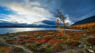 Kilpisjaervi Lake,Lapland,Finland     1920x1080 kilpisjaervi lake, lapland, finland, , , , kilpisjaervi, lake