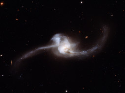 NGC 2623     1600x1200 ngc, 2623, , , 