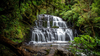 Purakaunui Falls,New Zealand     2560x1440 purakaunui falls, new zealand, , , purakaunui, falls, new, zealand