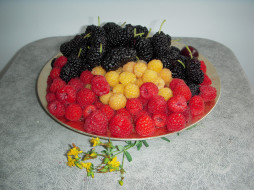 еда, фрукты,  ягоды, ежевика, малина