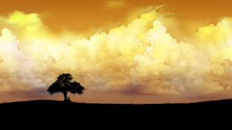 векторная графика, природа , nature, облака, закат, дерево, человек