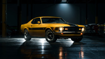 1970 ford mustang mach 1, , mustang, ford, mach1, , , 