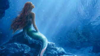      2560x1440  , the little mermaid, the, little, mermaid, 