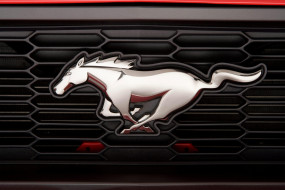      3951x2634 , -,  - , , , , , ford, mustang, s197, , , , , 