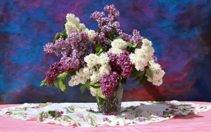 цветы, сирень, ваза, букет, белая, лиловая