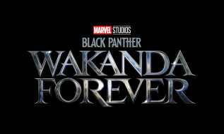 Black Panther: Wakanda Forever || 2022     3840x2304 black panther,  wakanda forever || 2022,  ,  wakanda forever, , , , , , , , 