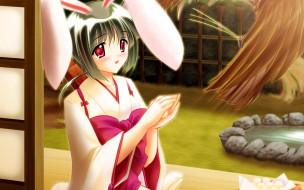 Seishun Buta Yaro wa Bunny     1920x1200 seishun buta yaro wa bunny, , seishun buta yarou wa bunny girl senpai no yume wo minai, , , 