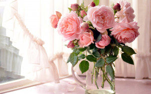 цветы, розы, розовые, бутоны, букет