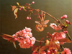     167192 (a): :1024x768
