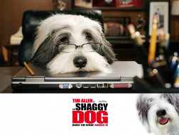      1920x1451  , the shaggy dog, , , , 