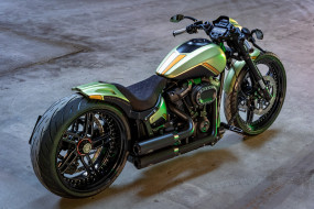      1920x1280 , harley-davidson, softail, fxdr, customized, golden, lime, tuning, bikes