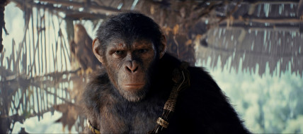 Kingdom of the Planet of the Apes [ 2024 ]     2432x1080 kingdom of the planet of the apes ,  2024 ,  , -unknown , , , , , , , , , proximus, caesar