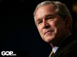      1024x768 , george, bush