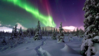 Northern Lights,Alaska     1920x1080 northern lights, alaska, ,  , northern, lights
