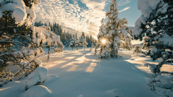 norwegian winter, , , norwegian, winter