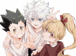 , hunter x hunter, 