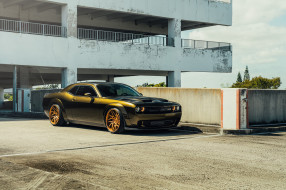 , dodge, muscle, car, hellcat, challenger