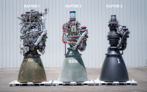 , , , , , raptor